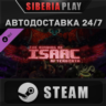 The Binding of Isaac: Afterbirth DLC STEAM АВТО