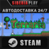 Terraria STEAM АВТО RU/UA/KZ/СНГ