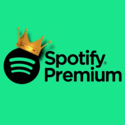 Spotify Premium Individual/duo/family на 1 месяц