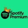 Spotify Premium Individual/duo/family на 1 месяц