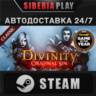 Divinity: Original Sin Enhanced - Collector&acute;s Edition
