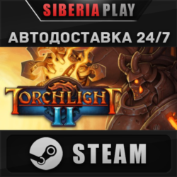 Torchlight II STEAM АВТО RU/UA/KZ/СНГ