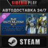 Warhammer 40,000 Space Marine 2 - Ultramarines Cosmetic