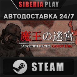 Labyrinth Of The Demon King STEAM АВТО RU/UA/KZ/СНГ