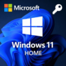 Windows 10/11 PRO/HOME | с привязкой