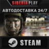 Arma 2: Combined Operations STEAM АВТО RU/UA/KZ/СНГ