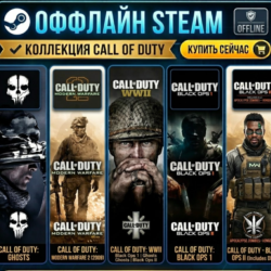 Call of Duty: Black Ops 2   DLC, BO1, MW2(2009),MW3(2011),Ghosts,WWII/ Steam /Offline