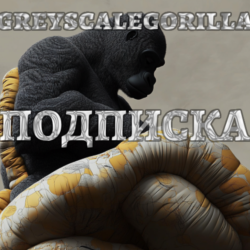 Аккаунт GreyscaleGorilla Plus | Подписка, Cinema4D