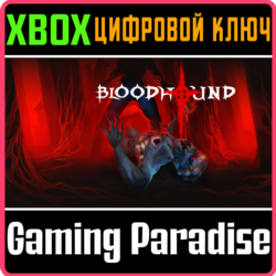 BLOODHOUND XBOX КЛЮЧ/КОД