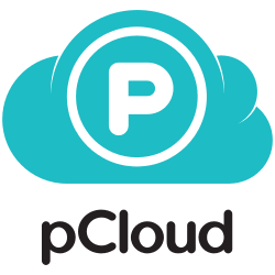 Подписка Pcloud Premium на срок от 1 до 12 месяцев для вашего аккаунта