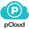 Подписка Pcloud Premium на срок от 1 до 12 месяцев для вашего аккаунта