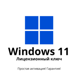 Microsoft Windows 11 Professional (Retail)