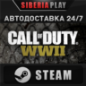 Call of Duty: WWII STEAM АВТО RU/UA/KZ/СНГ