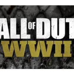 Call of Duty®: WWII НЕ Все страны Steam Key    Автовыдача