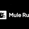 Подписка на Mulerun AI PLUS/SUPER/PRO на 1 месяц | ПОЛНАЯ ГАРАНТИЯ