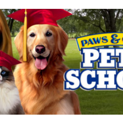 Paws & Claws: Pet School Steam Key GLOBAL
