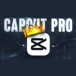 30 ДНЕЙ | CAPCUT PRO | БЫСТРЫЙ | ПРЕДОСТАВИТЬ СЧЕТ