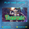 Terraria КЛЮЧ Steam Global без РФ/РБ