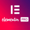 Elementor Pro 1 на год. Официальная лицензия