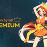 Crunchyroll Fan/MEGA 1-12 мес подписки на аккаунт