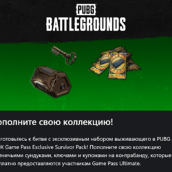 PUBG - 2025 Exclusive Survivor Pack #2