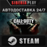 Call of Duty: Black Ops STEAM АВТО RU/UA/KZ/СНГ