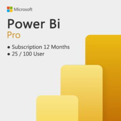 POWER BI PRO 25/100 users 1 year ключ