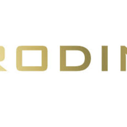 rodin ai подписка на аккаунт создателя 1 месяц