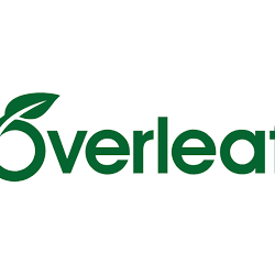 Overleaf Стандартная подписка 1 месяц