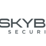 Базовая подписка на аккаунт Skybox ai 1 месяц