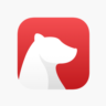 Bear pro Подписаться на свой аккаунт 1 год