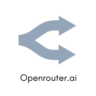 Openrouter TopUP (Any amount)