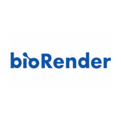 Подписка на премиум аккаунт Biorender 14 дней