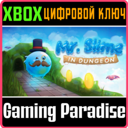 MR.SLIME IN DUNGEON (XBOX SERIES X|S) XBOX SERIES S|X К