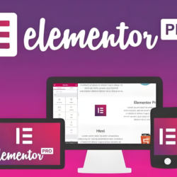 Оригинальная лицензия Elementor Pro на один год