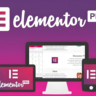 Оригинальная лицензия Elementor Pro на один год