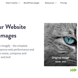 Оригинальная лицензия Imagify Pro на один год