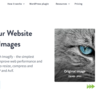 Оригинальная лицензия Imagify Pro на один год