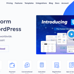 Лицензия Fluent Forms Pro на один год/бессрочно оригина