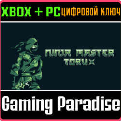 NINJA MASTER TORU (WINDOWS   XBOX) XBOX   PC (WIN) КЛЮЧ