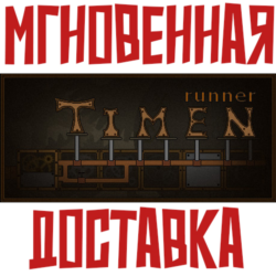 Timen runner ⚡Steam РФ Мир Key⭐  Карточки🂡
