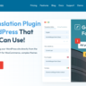 Лицензия TranslatePress Pro  на год