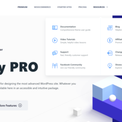 Лицензия Blocksy Pro  на год/навсегда оригинальная