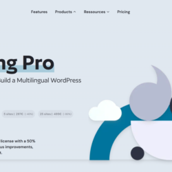 Плагин GPL для инструмента перевода Polylang Pro