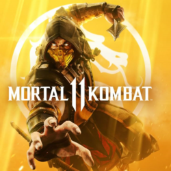 Mortal Kombat 11    PS4/PS5    ТУРЦИЯ