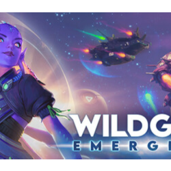 Wildgate * STEAM РОССИЯ ⚡ АВТОДОСТАВКА 💳0% КАРТЫ