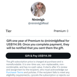 Подписка на Twitter X Premium/Plus на 12 месяцев | БЕЗ ВХОДА