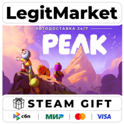 PEAK / Steam АВТО / РУ   МИР