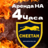Cheetah Pro Tool - аренда аккаунта 4 часа