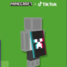 ПЛАЩ ИЗ СТАРОГО TIKTOK MINECRAFT  FOLLOWER’S CAPE    КE
